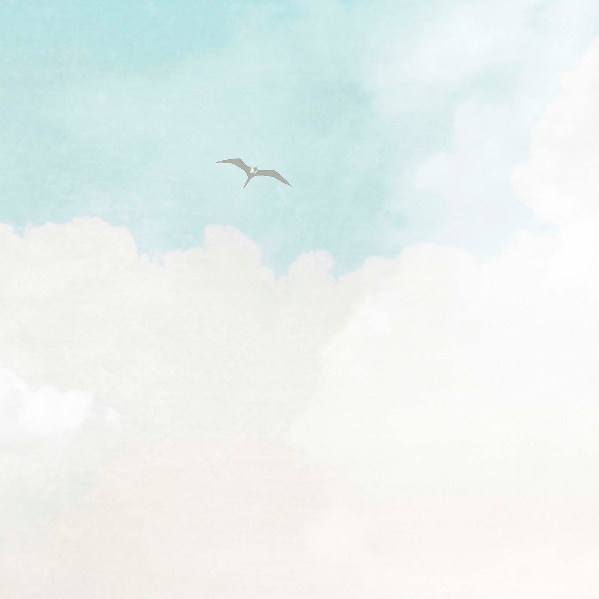 Pastel_Sky_Clouds_Mural-detail