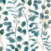 Teal Eucalyptus Wallpaper