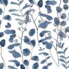 Blue eucalyptus wallpaper
