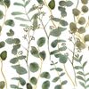 Olive green eucalyptus wallpaper