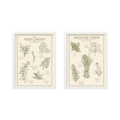 Herb Garden and Aromatic Herbs print set of 2 in white frames
