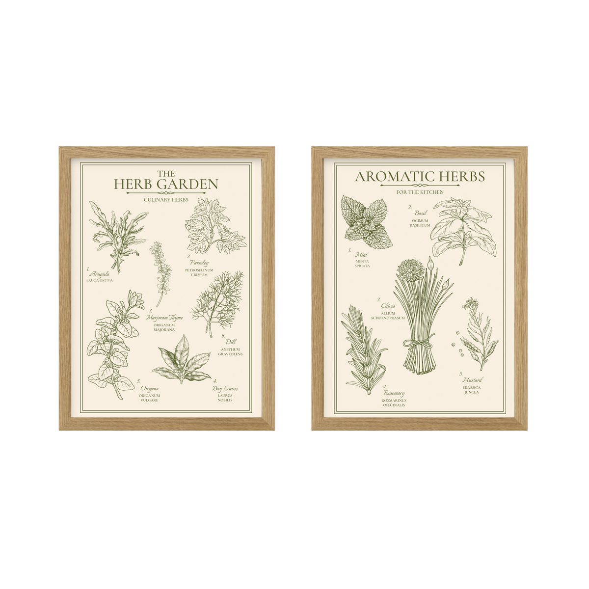 Herb Garden and Aromatic Herbs print set of 2 in light wood frames